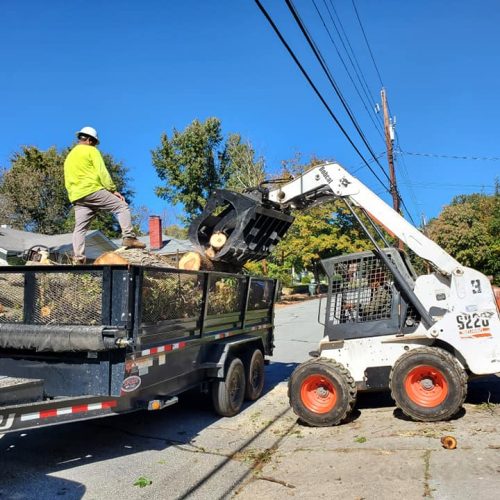 The image shows a worker from Triad Tree Removal LLC using a Bobcat machine to load tree branches and debris into a dump trailer