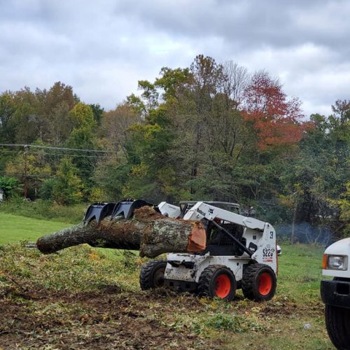 The image shows a Bobcat S175 skid-steer loader carrying a large log with a grapple attachment