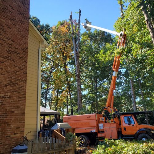 The image shows a tree trimming crew from Triad Tree Removal LLC working on a tree next to a house