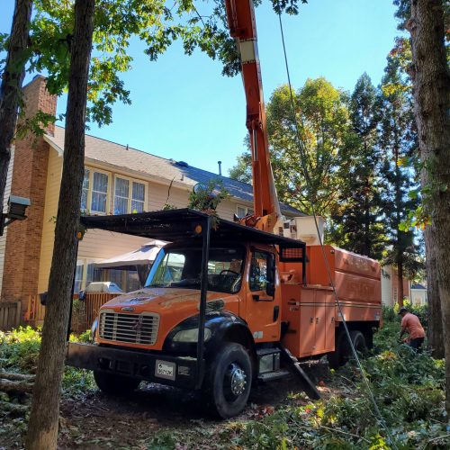 A Freightliner M2 truck equipped with an aerial lift for tree trimming or other utility work