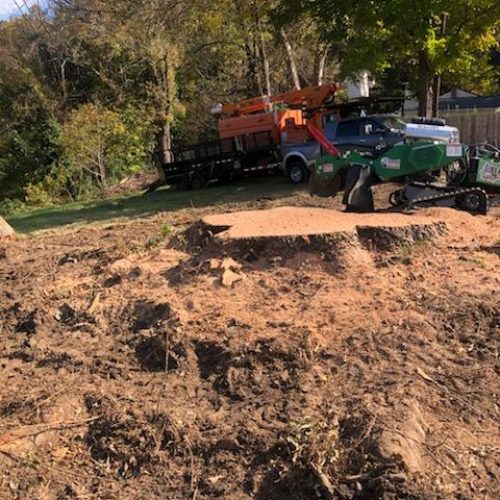 A stump grinder sits on a patch of ground where a tree has been removed